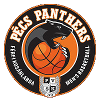 https://img.hnrs008.com/img/basketball/team/910780fe6318e85fae4659d07270bc25.png