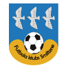 https://img.hnrs008.com/img/football/team/259a1106a33b56d2bb3c458a62ffa2ea.png