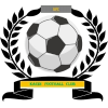 https://img.hnrs008.com/img/football/team/6dc6d59af2f0962597b412473a6708ee.png