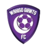 https://img.hnrs008.com/img/football/team/c5a548d374c3bb29f1190bf670442c90.png