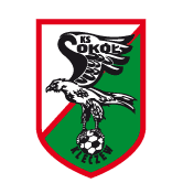 https://img.hnrs008.com/img/football/team/e6a8908dd206e2ea02d9803c82c60bba.png